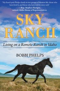 Imagen de portada: Sky Ranch 9781510751071