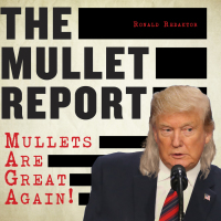 Cover image: The Mullet Report 9781510753655