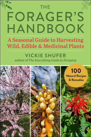 Cover image: The Forager's Handbook