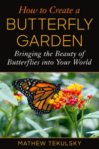 Cover image: How to Create a Butterfly Garden