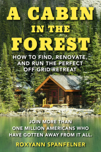 Cover image: A Cabin in the Forest