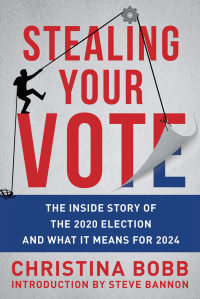 Cover image: Stealing Your Vote