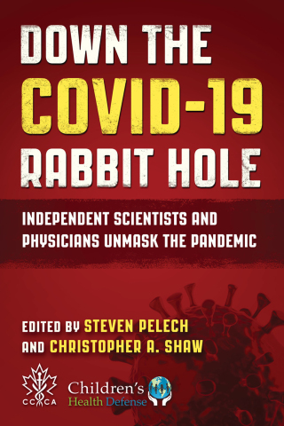Cover image: Down the COVID-19 Rabbit Hole
