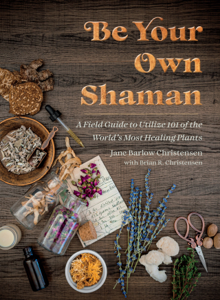 Cover image: Be Your Own Shaman