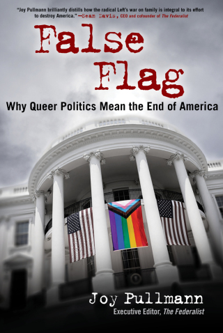 Cover image: False Flag 9781684515875