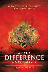 Imagen de portada: What a Difference a Name Makes 9781512702149