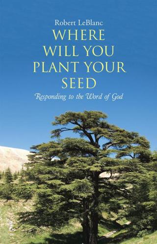 Titelbild: Where Will You Plant Your Seed 9781512702545