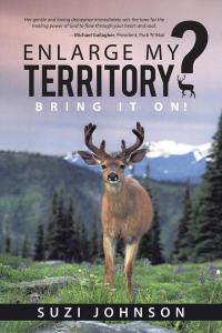 Cover image: Enlarge My Territory? 9781512703511