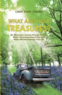 Cover image: What Are Your Treasures? 9781512708929