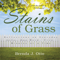 Titelbild: Stains of Grass 9781512713039