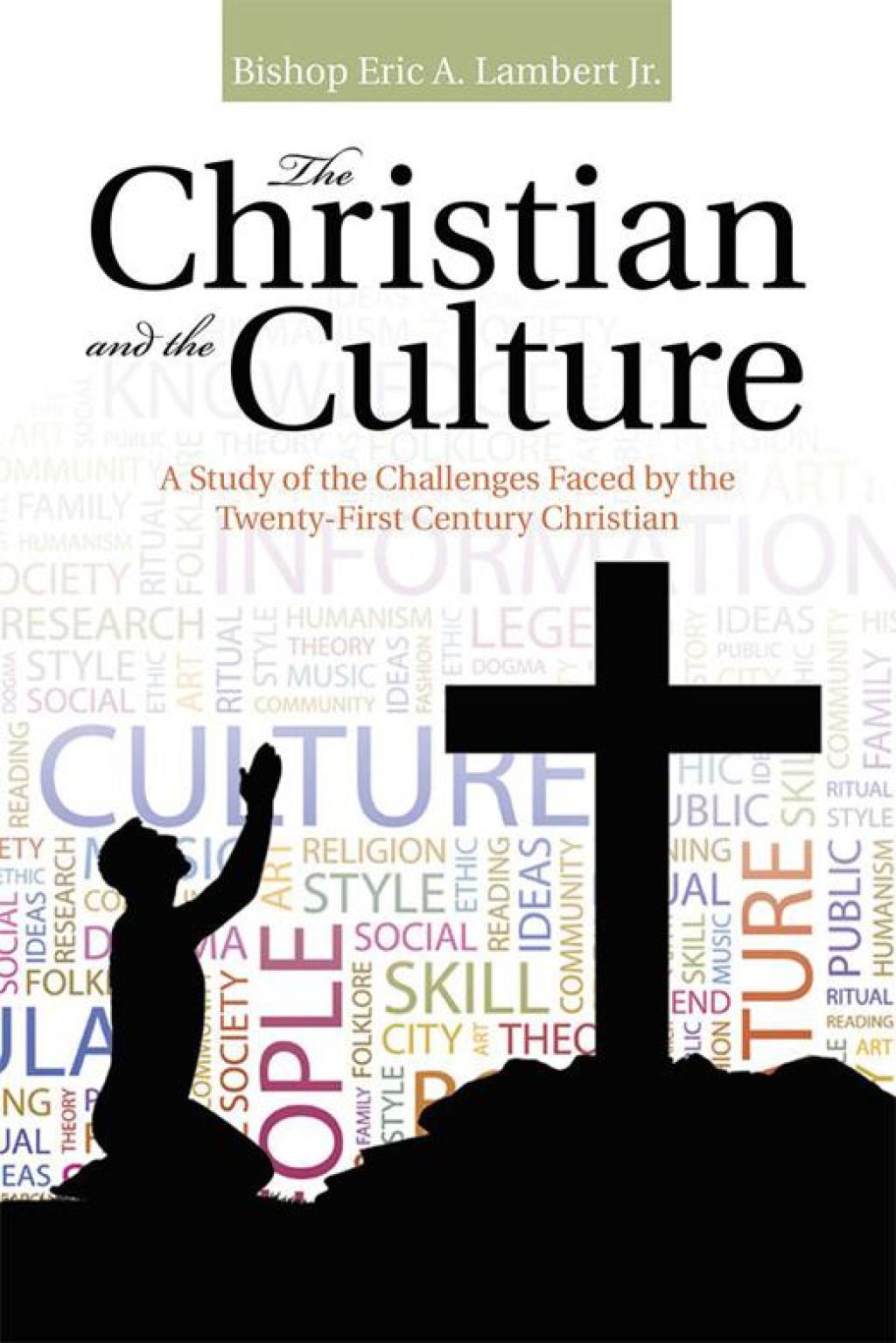 The Christian and the Culture eBook