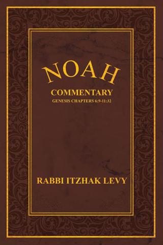 Titelbild: Noah 9781512716627