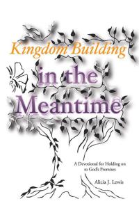 Imagen de portada: Kingdom Building in the Meantime 9781512719475