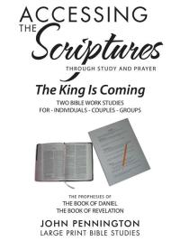 Cover image: Accessing the Scriptures 9781512722406