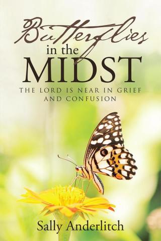 表紙画像: Butterflies in the Midst 9781512724844