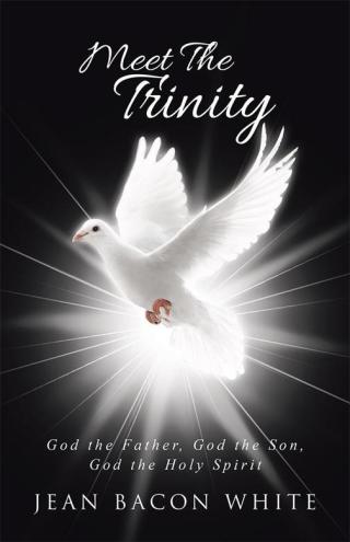 Cover image: Meet the Trinity 9781512729245