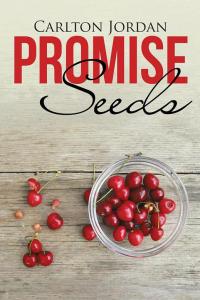 Cover image: Promise Seeds 9781512733914