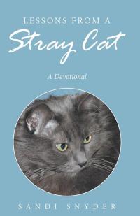 Imagen de portada: Lessons from a Stray Cat 9781512736809