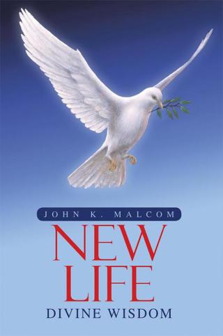 Imagen de portada: Divine Wisdom 9781512736991