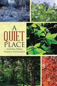 Imagen de portada: A Quiet Place 9781512743302