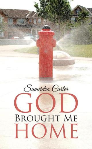 Imagen de portada: God Brought Me Home 9781512744378
