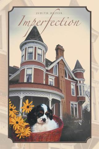 Imagen de portada: Imperfection 9781512747492