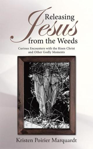 Cover image: Releasing Jesus from the Weeds 9781512747553