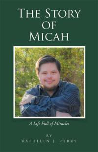 Imagen de portada: The Story of Micah 9781512748369