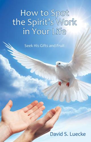 Titelbild: How to Spot the Spirit's Work in Your Life 9781512752748