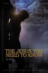 Titelbild: The Jesus You Need to Know 9781512765076