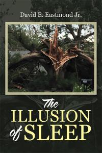 Cover image: The Illusion of Sleep 9781512766233