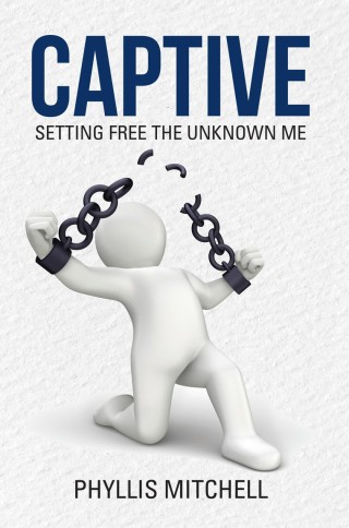Cover image: Captive 9781512703504