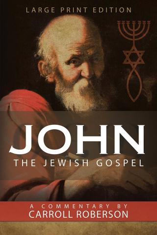 Cover image: John the Jewish Gospel 9781512768169