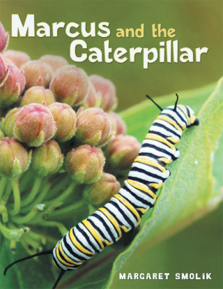 表紙画像: Marcus and the Caterpillar 9781512772425