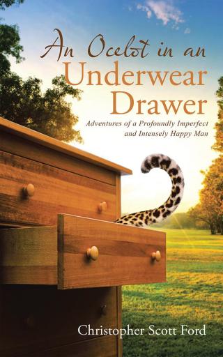 Imagen de portada: An Ocelot in an Underwear Drawer 9781512775471