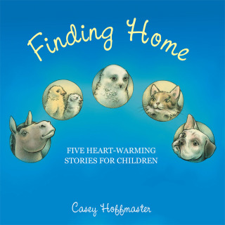 Cover image: Finding Home 9781512777048