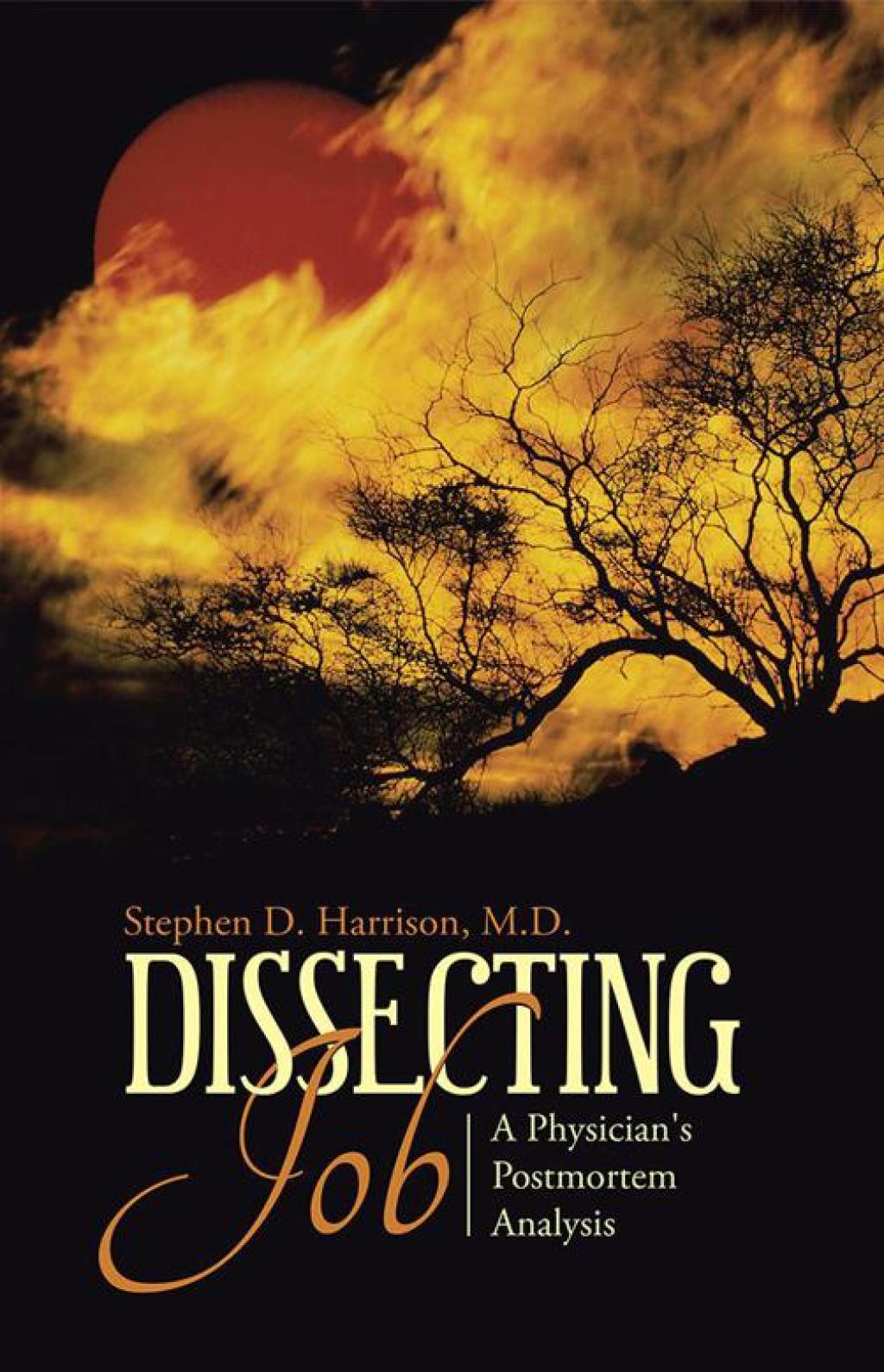 Dissecting Job A Physician’s Postmortem Analysis