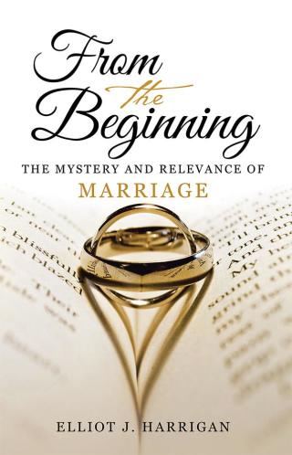 Imagen de portada: From the Beginning 9781512782097