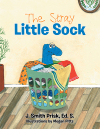 Imagen de portada: The Stray Little Sock 9781512783575