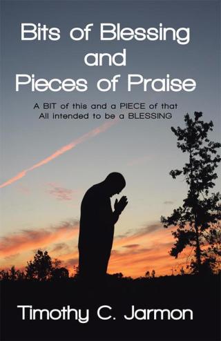 Titelbild: Bits of Blessing and Pieces of Praise 9781512783858