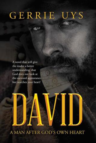 Imagen de portada: David 9781512785500