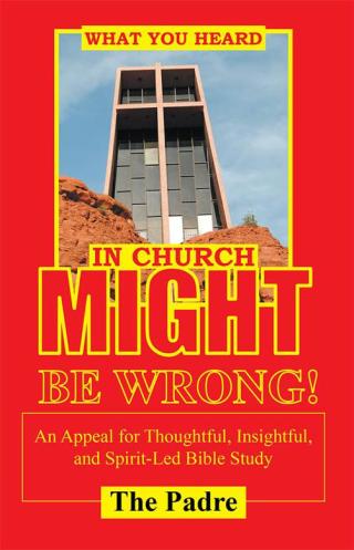 Cover image: What You Heard in Church Might Be Wrong! 9781512785807
