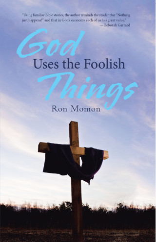 Imagen de portada: God Uses the Foolish Things 9781512786941