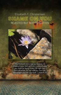 Cover image: Shame on You 9781512787887
