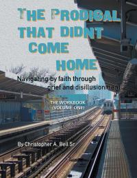 Cover image: The Prodigal That Didn't Come Home 9781512791105
