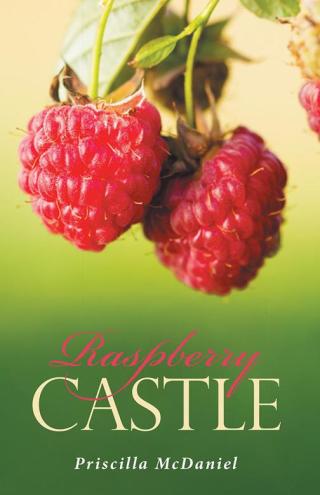 Omslagafbeelding: Raspberry Castle 9781512794304