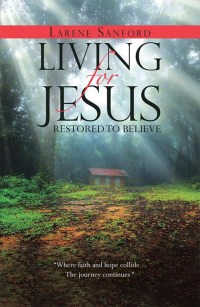 Omslagafbeelding: Living for Jesus 9781512798647