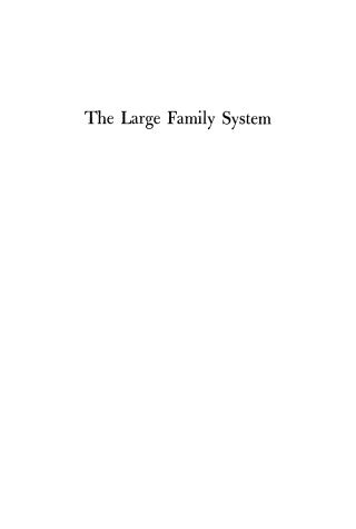 Cover image: The Large Family System 9781512800791