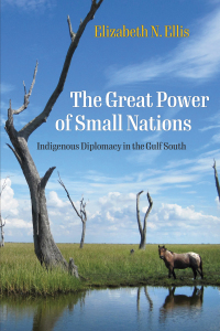 Cover image: The Great Power of Small Nations 9781512823097