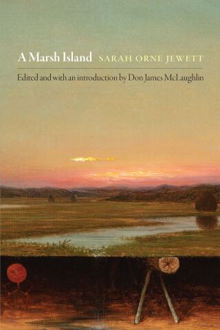 Omslagafbeelding: A Marsh Island 9781512824261